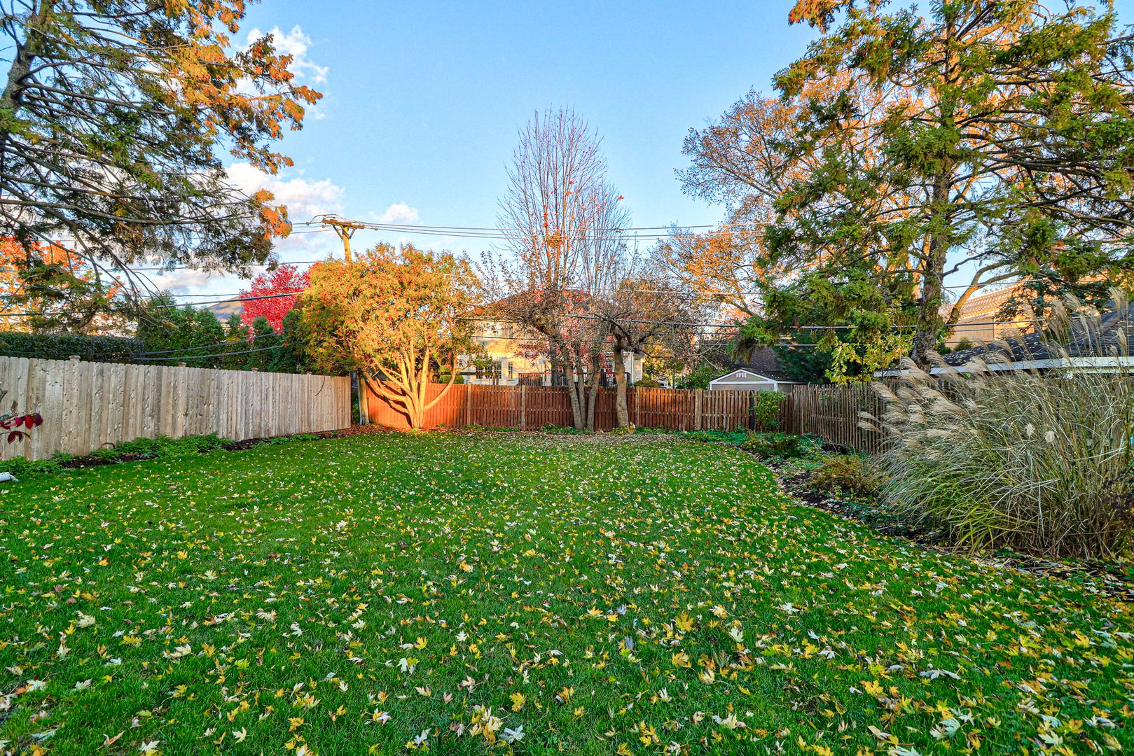 441 N Elm Avenue Elmhurst, IL 60126